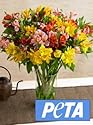 PETA Peruvian Lilies