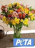PETA Peruvian Lilies