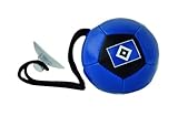 Hamburger SV HSV Autospiegelball