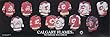 Calgary Flames 10X30 Plaque - Heritage Jersey Print