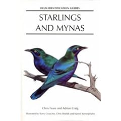 Starlings and Mynas (Helm Identification Guides)