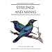 Starlings and Mynas (Helm Identification Guides)