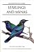 Starlings and Mynas (Helm Identification Guides)