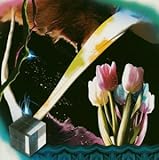 MODERN CREATION(CCCD)