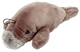 Land & Sea Wild Animals - Manatee