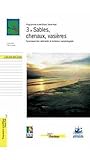 Sables, chenaux, vasières... : dynamique des sédiments et évolution morphologique Sables, chenaux, vasières... : dynamique des sédiments et évolution morphologique