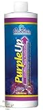 CaribSea Purple Up Coralline Algae Accelerator 16oz