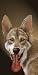 Towel World Wolf Panting Beach Towel