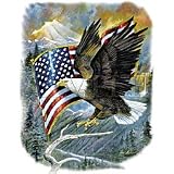 American Pride Adult T-Shirt