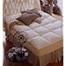 Marriott Pacific Coast Baffle Box Feather Bed (Queen 60" x 80")