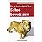 Selbstsicherheit und Selbstvertrauen