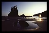 National Geographic, Serene Tidal Pools, Olympic National Park, 20 x 30 Framed Poster Print in a Black Metal Frame