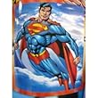 DC Superman Fleece Blanket Throw