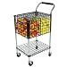 Gamma Brute Teaching Cart (325)