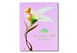 Fairies. Die geheime Welt der Feen