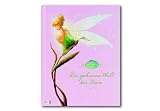 Fairies. Die geheime Welt der Feen