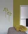 The Home Collection...
