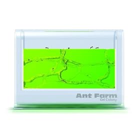 Uncle Milton Illuminated Ant Farm Gel Colony by Uncle Milton