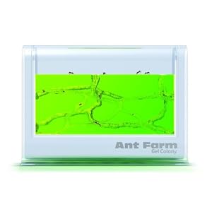 Uncle Milton Illuminated Ant Farm Gel Colony by Uncle Milton