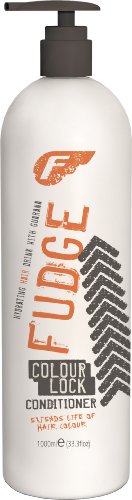 Fudge Colour Lock Conditioner 1000ml Inc Pump Preisvergleich
