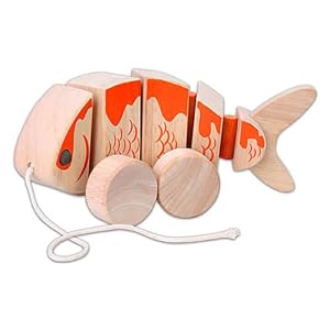 Maxim EverEarth Pull Along Koi Fish