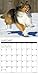 2016 Just Shelties Wall Calendar