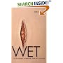 Wet: On Painting, Feminism, and Art Culture