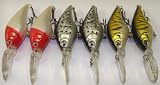 412SKIiSSWL. SL160  6 Custom Shad Bass Fishing Lures 6 Lure Set  Plug Crankbaits  Set M6X