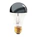 Bulbrite 60A19HM Half Chrome 60W A Shape Bulb