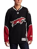 NHL Men's Phoenix Coyotes Reebok Edge Premier Team Jersey - 7185A5Bqhpjpcy (Black, Large)