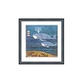 Whale and Son by Chris Davis - 15.5x15.5"