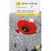 The First World War (TY History)