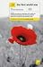 Book The First World War (Teach Yourself History)