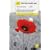 The First World War (TY History)