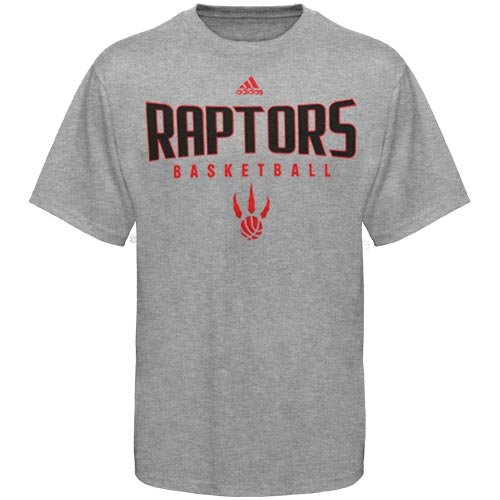 adidas Toronto Raptors Ash Absolute T-shirt (Medium)