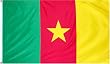 Cameroon National Country Flag - 3 foot by 5 foot Polyester (New)