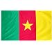 Cameroon National Country Flag - 3 foot by 5 foot Polyester (New)