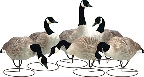 Final Approach Fa Last Pass Hd Field Honker Decoy Starter Pack, 6 Pack