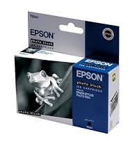 Epson Original Ink Cartridge T0541 Photo Black