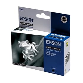 Epson Original Ink Cartridge  T0541 Photo Black