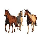 Chris Cummings Wild and Free Horses Wallies Wallpaper Mural