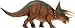 Triceratops Dinosaur