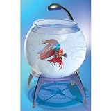 Globe Aquarium with LED Light