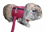 Peter's Walking Rabbit Jacket