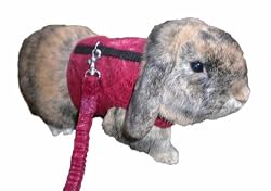 Peter's Walking Rabbit Jacket