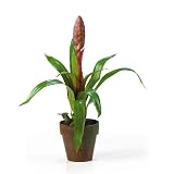 New Nearly Natural Potted Single Sword Bromeliad Perfect Brilliant Color Realistic Look Mauve/Red