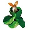 K�the Kruse - 0460416 - FIP Hase im Kohlkopf