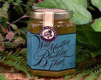 Blackberry Honey