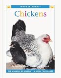  Chickens (Wonder...