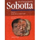 Sobotta Atlas of Human Anatomy: English Text with Latin Nomenclature, Thirteenth Latin... by Published Urban & Fischer, Putz, and Pabst